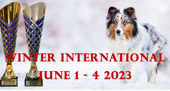 2023 Winter Internationals