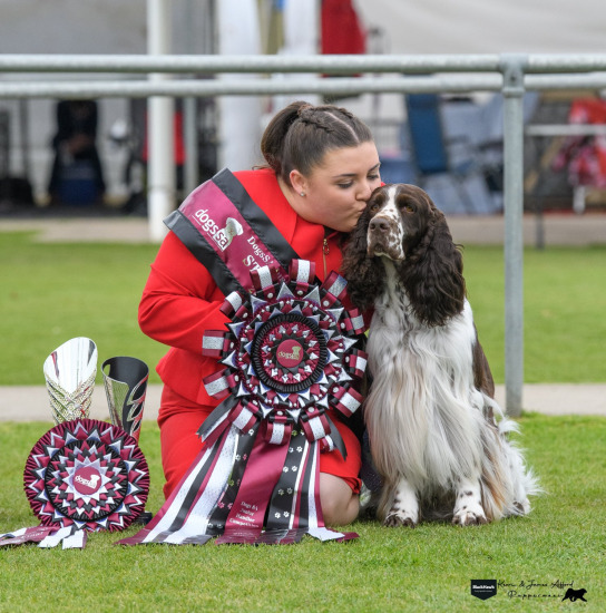 2024 Junior Handler State Final Shows