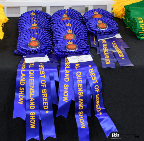 2024 Ekka 