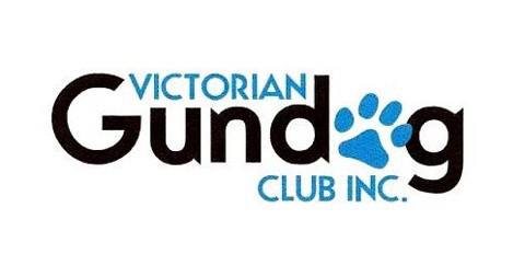 Victorian Gun Dog Club Show Nov 2024  