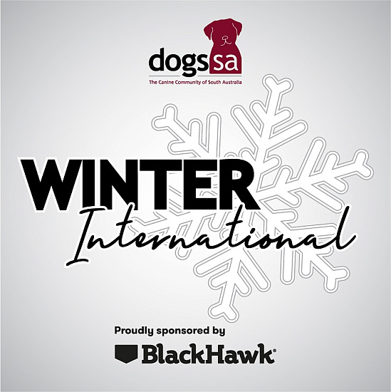 2025 Winter Internationals