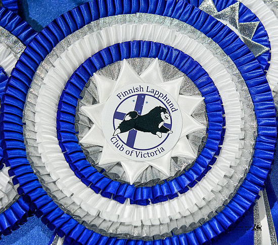 2025 Finnish Lapphund Show commitee photos