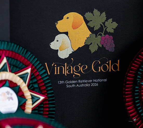 13th Golden Retriever National Rally & Obedience  