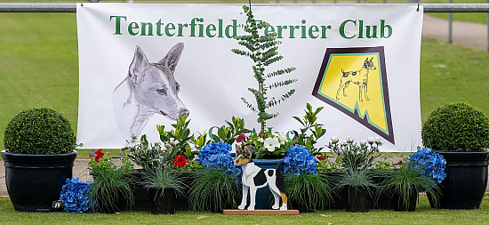 2026 Tenterfield Terrier Nationals 